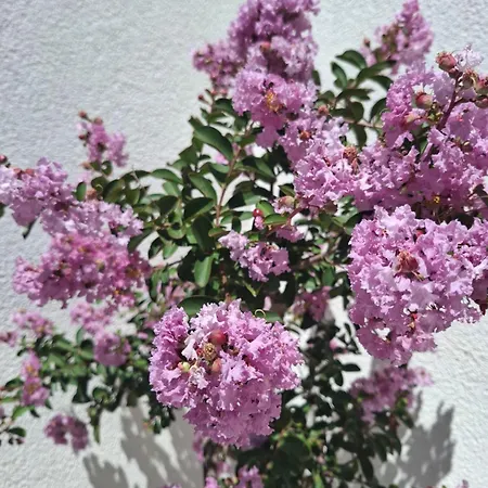 Tiki Appartement Dubrovnik