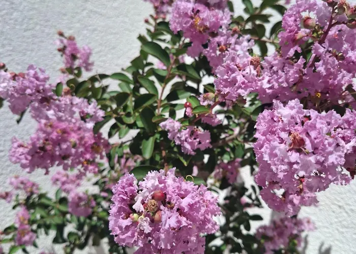 Tiki 公寓 杜布罗夫尼克